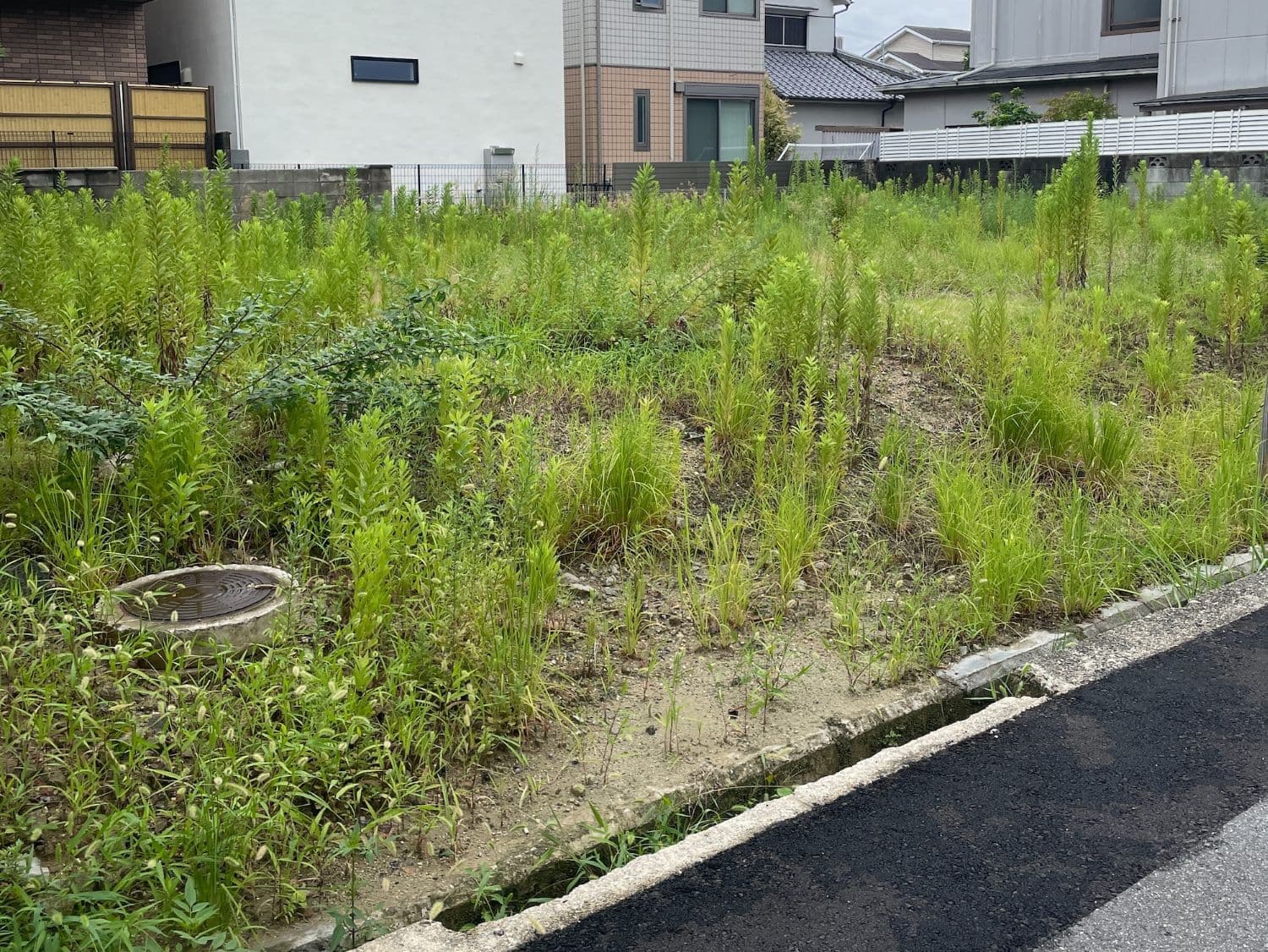 第一種低層住居専用区域