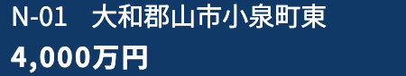 新築戸建住宅