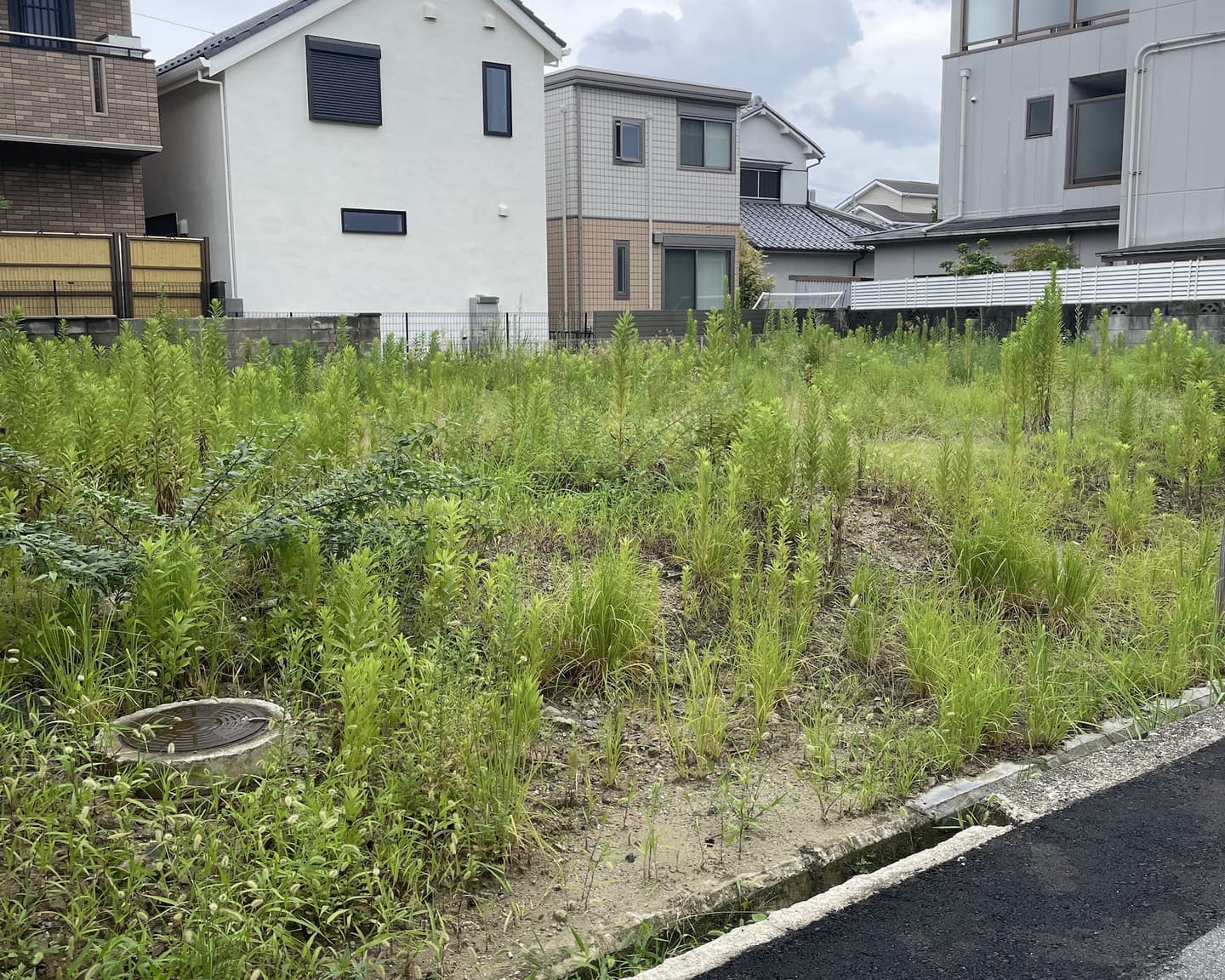 土地販売中
